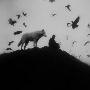 why couldn't you stay