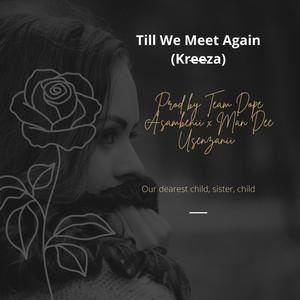 Till We Meet Again (Kreeza)