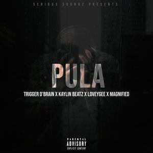 Pula (feat. Kaylin Beatz, Loveygee & Magnified)