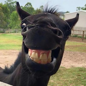 Love Yourself (Tiktok Speed Up 2022)