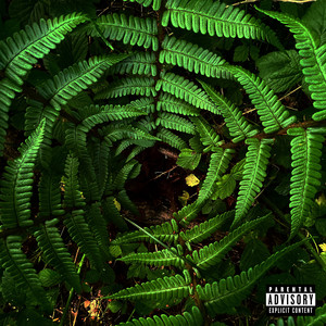 Let The Sun Shine (Explicit)