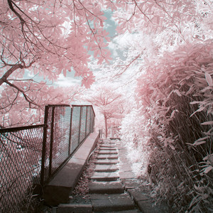 Call me whenever (Explicit)