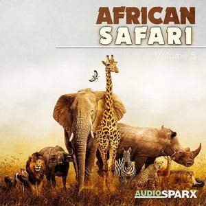 African Safari Volume 5