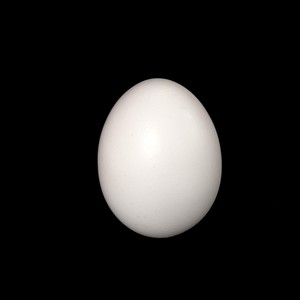 All Hail the Egg