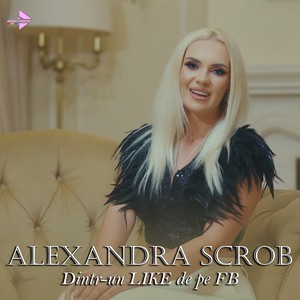 Dintr-un Like de pe FB