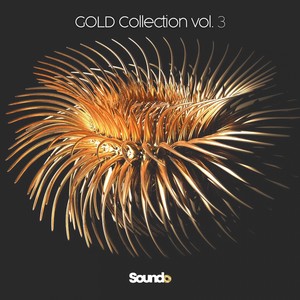 Gold Collection, Vol. 3 (Explicit)