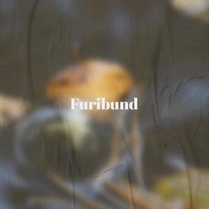 Furibund