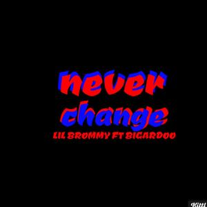 never change (feat. bigardoo) [Explicit]