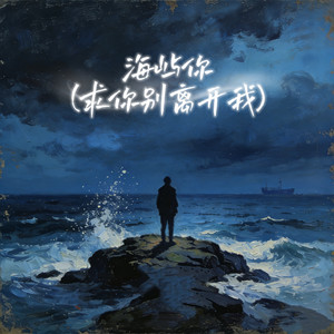 海屿你 (求你别离开我-氛围版)