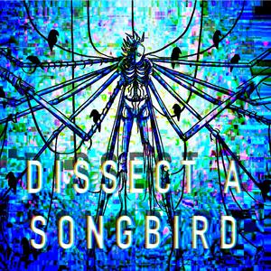Dissect A Songbird (Nyl Version)
