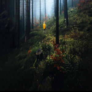 Wild (feat. JSide Ballout) (Explicit)