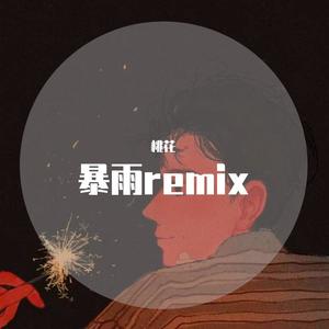 张长生-宝藏女友 (桃花 remix)封面