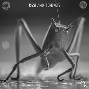 Nachtvisioen (Original Mix)