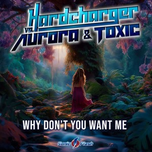 Why Don't You Want Me (Extended Mix)