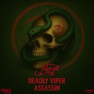Deadly Viper Assassin