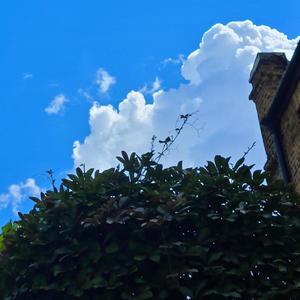 audi (feat. A1 Matty) (Explicit)