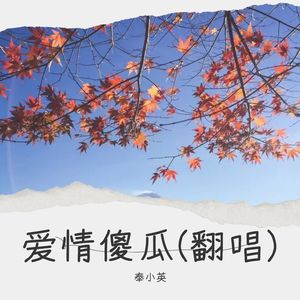 爱情傻瓜 (Live)