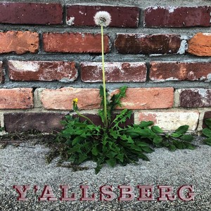 Y'allsberg