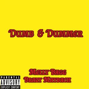 Dumb & Dummer (Explicit)