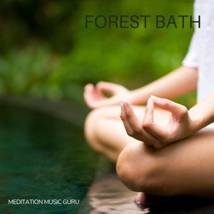 Forest Bath: Nature Meditation