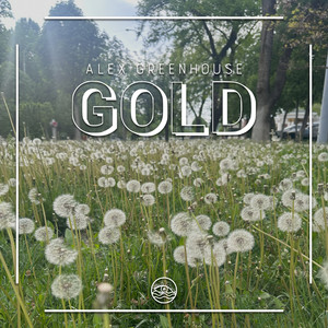 Gold (Extended Mix)