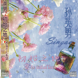 孙英男 - 百年孤独