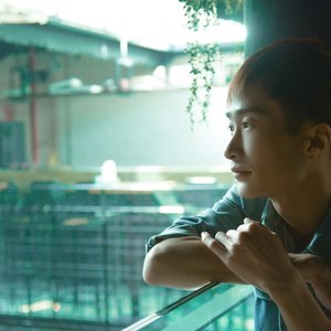 风锦谣