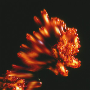 Cracks in the Facade