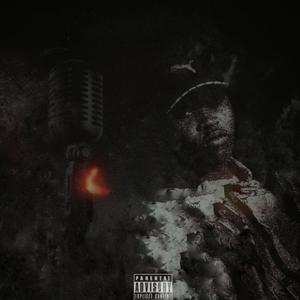 The Vibes (Explicit)