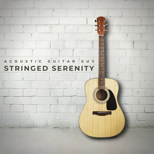 Stringed Serenity: Calm Acoustic Guitar