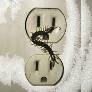 **** Pissin (feat. Wxkeup414) (Explicit)