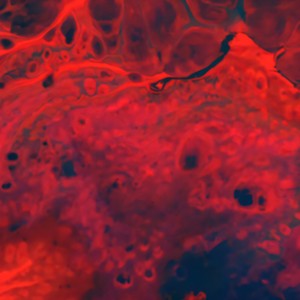 Gavin Miller - You're Not It (edit|Explicit)