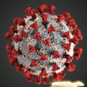 Corona Virus (Explicit)