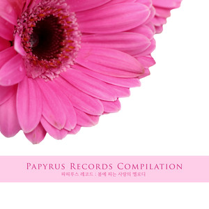 파피루스 레코드 : 봄에 피는 사랑의 멜로디