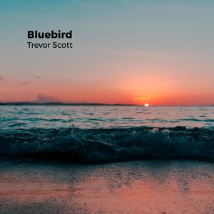 Bluebird