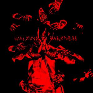 WALKING IN DARKNESS