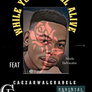 While you're still alive (feat. Nizzle) (Radio Edit|Explicit)