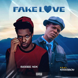 Fake love (Explicit)