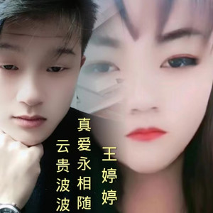 夫妻好比鸳鸯鸟 (伴奏)