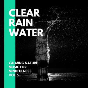 Clear Rain Water - Calming Nature Music for Mindfulness, Vol.5