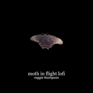 Moth in Flight (Lofi)