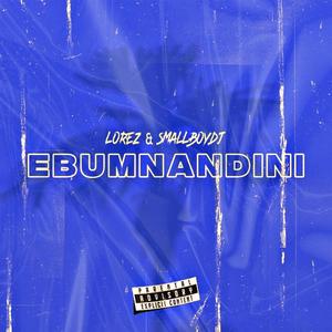 EBUMNANDINI (feat. SmallboyDJ)