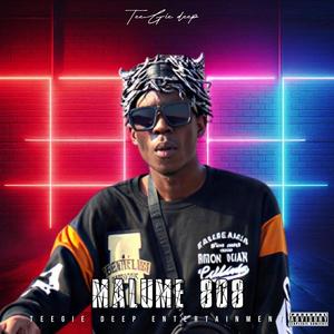 Malume 808 (stance) (feat. Tsitsi)