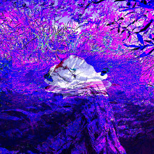 zen (feat. Stersk1) (Explicit)