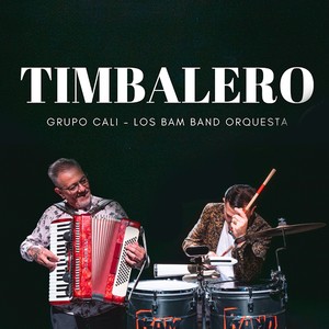 Timbalero