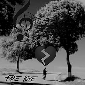 Fake love (Explicit)