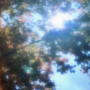 我做了一场关于夏天的梦