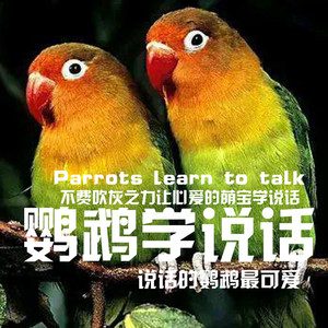 恭喜发财，红包拿来 (DJ长音频)封面