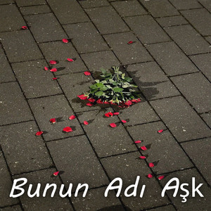 Bunun Adı Aşk