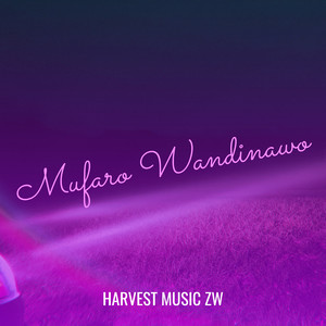 Mufaro Wandinawo